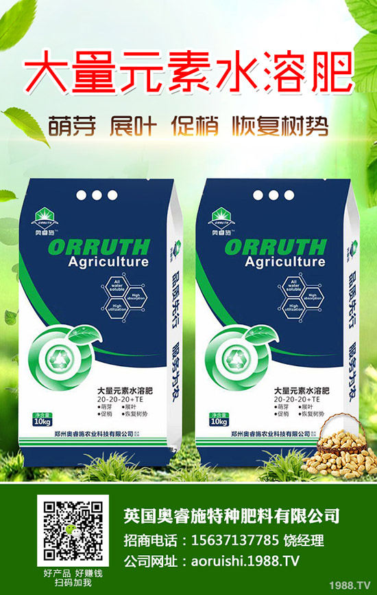     ���������׷�����������һ�@���@�r�������߄��A(y��)�y2020-3-30��