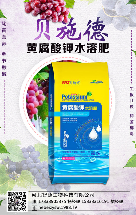 �۲˵ĠI�B(y��ng)�rֵ����Щ�������۲���ʲô��̎��