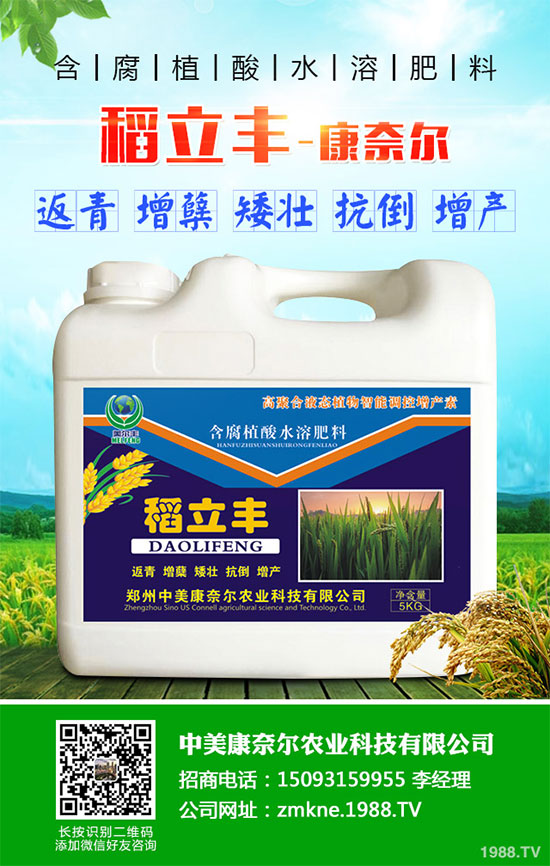 С�����·����������������ж��Ӱ푣�ԓ����a����С�����·��r(n��ng)��ָ��