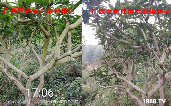 �V����ɫ�͑�δʹ�Õr��ʹ�ú�Ч�����@��