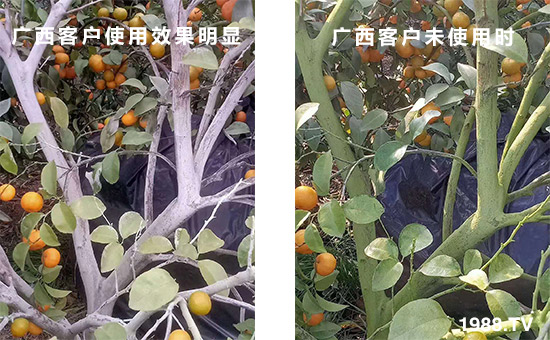 �V���͑�ʹ��Ч�����@��δʹ�Õr��