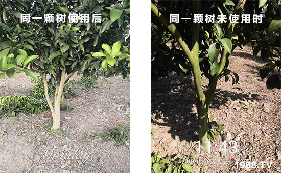 ͬһ�w��ʹ�ú��ͬһ�w��δʹ�Õr��