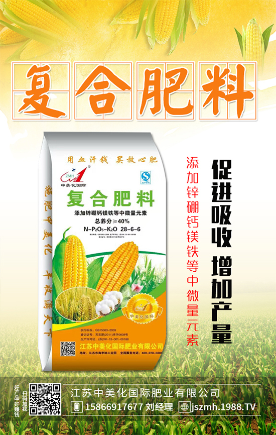 ����ʲô�r(sh��)�g���磿����������������Ҫ�c(di��n)��