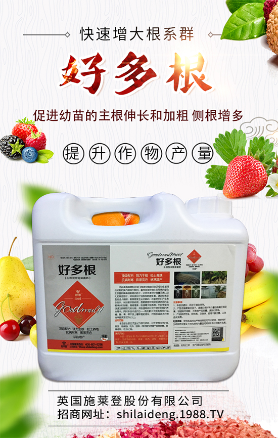 ����������ʲô�r(sh��)��Nֲ�������˷Nֲ���g(sh��)Ҫ�c(di��n)����Щ��	