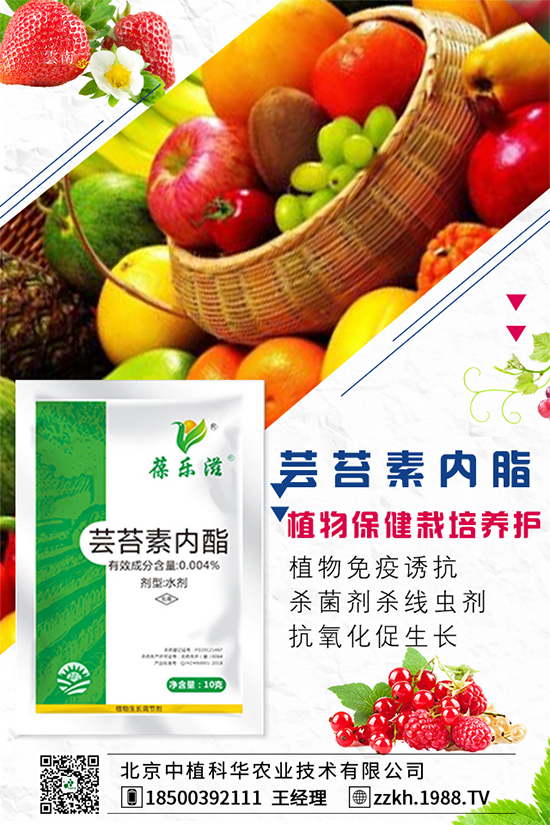 ���Ҫ��ô�Nֲ�����ˮ�ʹ���Ҫ�c��