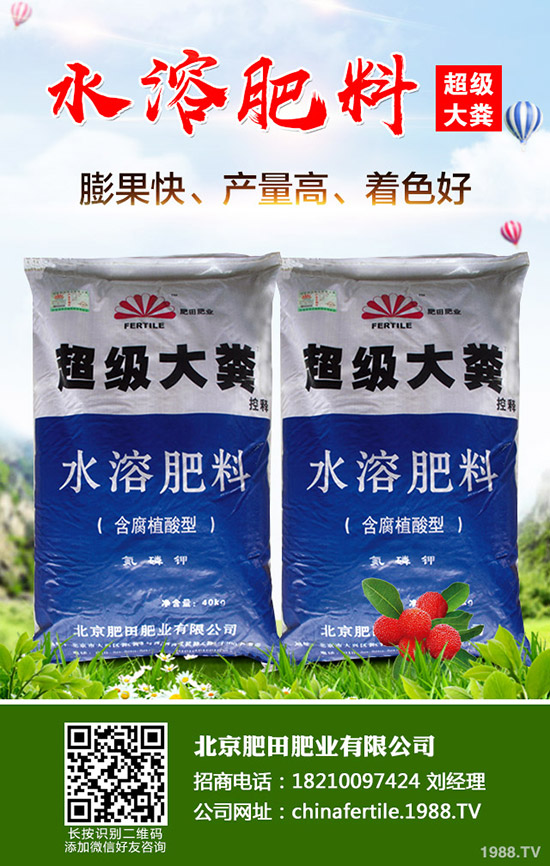 ���Ѵ�����������Ҫ��Щʲô���������ѹ������g(sh��)��