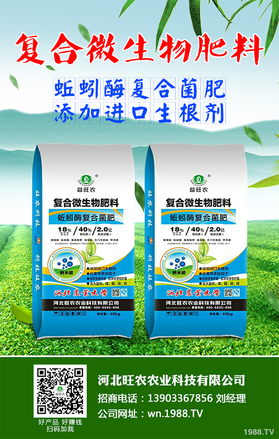 ��۹�ԓ��ηNֲ����۹�����Nֲ���g