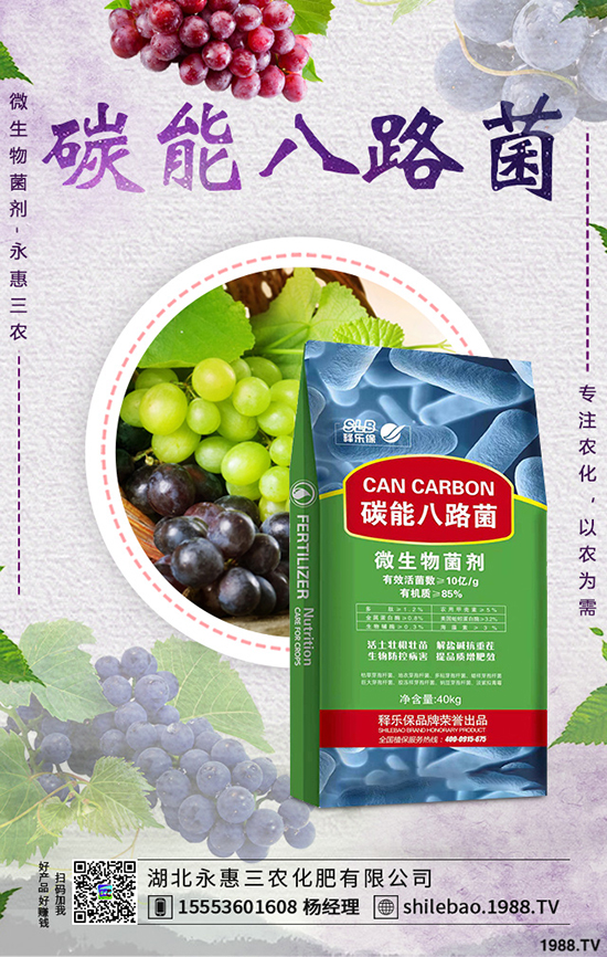 �{�˷Nֲ�r(sh��)�g��ʲô�r(sh��)���{�˷Nֲ�������g(sh��)