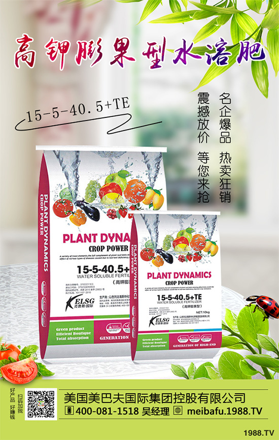 �ϹϷ��Ďׂ����L�A�����Ϲό��������I�B(y��ng)Ҫ��