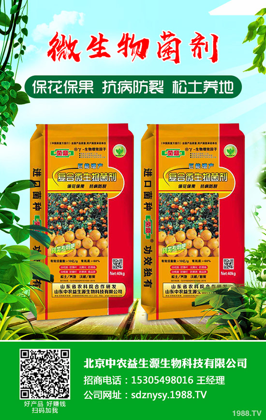     С���к�����Ҫ��������Щ����η��������μ��gָ����Ҋ����Щ��