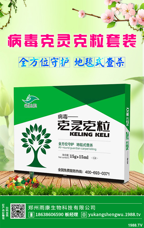 �W�ˌ�Ҫ���á���ɭ�i�\����