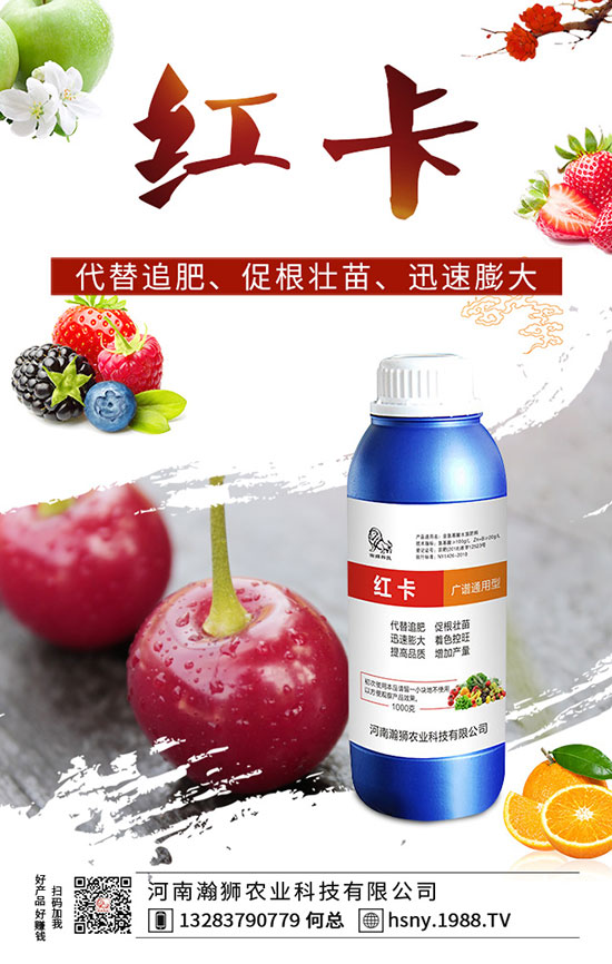 �����������ι�����������������Լ��gҪ�c