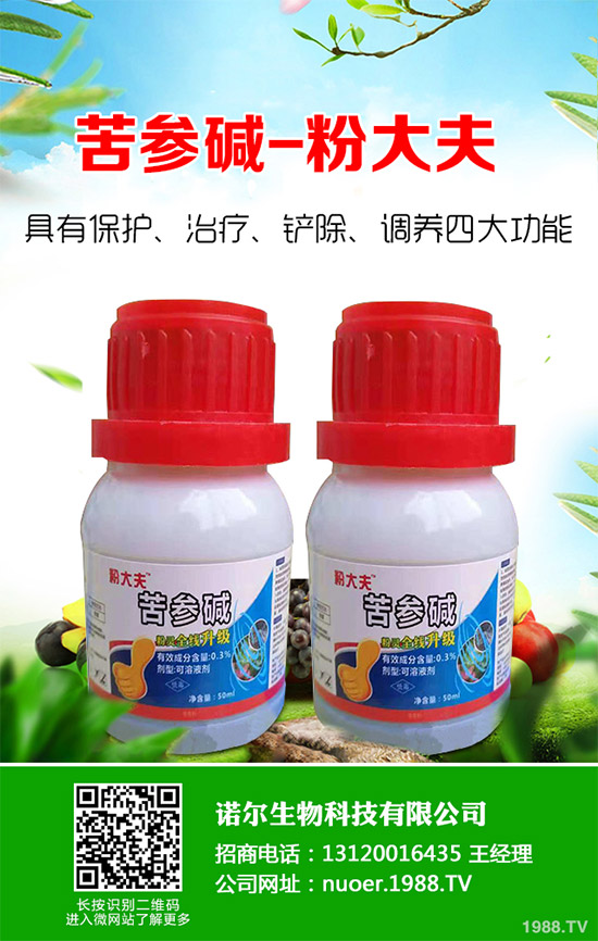 �{�����ӵă�(y��u)��(sh��)�����x(ch��ng)���δ��(l��i)ֲ���Ј�(ch��ng)�д�������