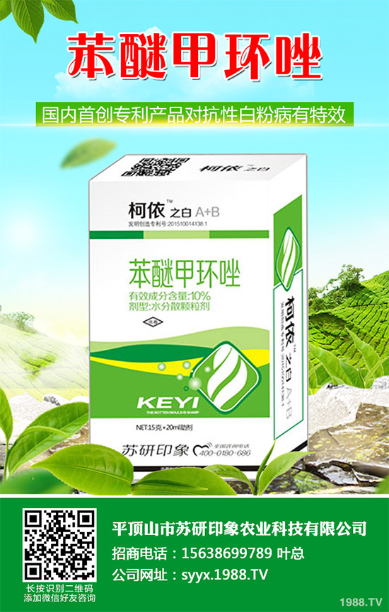     ��ذl(f��)�F(xi��n)���Ծ����������赾��������뿾����Ŀ�ˎ�Ԇ��}