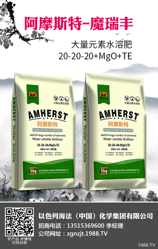 2020�괺����ʲô�r�g���N�������׷Nֲ���g(sh��)