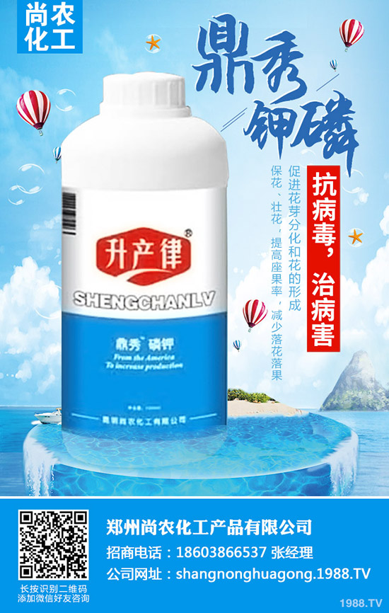     ���{(l��n)���Y(ji��)����ô�k�����{(l��n)���Y(ji��)��ԭ�򼰷��δ�ʩ��