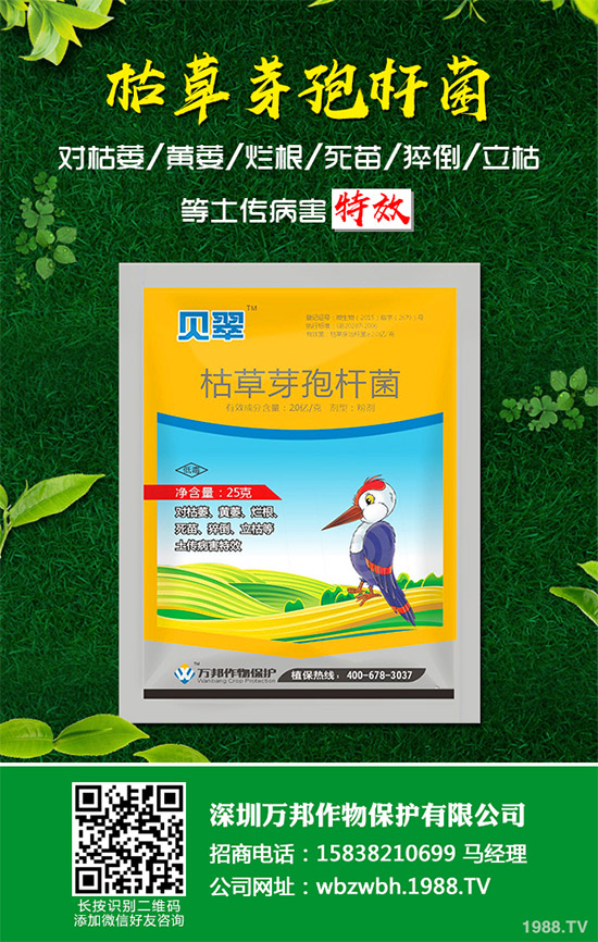 С����ù��ˎ������Ч����������׃����