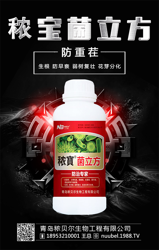 ����ʲô�r����Բ��գ����պ�İ�����ô̎����