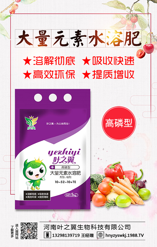 �������L��(x��)������Щ�����ɵ����g����Ҫ�c��