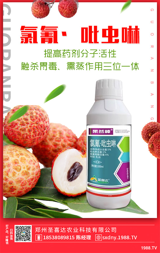 ��������ӛ���������x�y��߀�������������T��Ҫ���(qu��n)��������