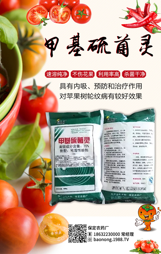 �������t�����༼�g(sh��)���������t�����x�����Σ�