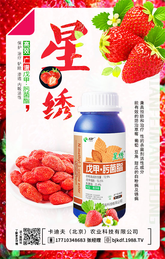 ����Ҫ��Ҫ���������������_��֦�������