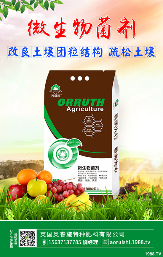     2020-4-24���������嵭������������(n��i)�����Ј������߄ݷ���|��