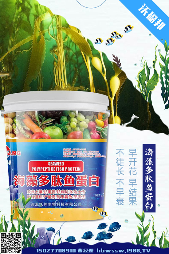     ���ӷNֲ��Ҫע����Щ���}�����ӵ�ˮ�ʹ���Ҫ�c(di��n)��