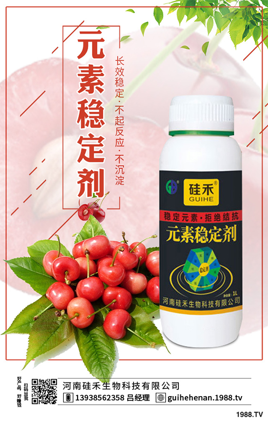 ��ˎԓ��ô�Nֲ����ˎ�Nֲ�İ˴��E��������(hu��)���