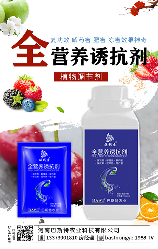 �Y(ji��)����{(l��n)��ôʩ�ʣ��Y(ji��)����{(l��n)��ʩ�ʼ��g(sh��)��