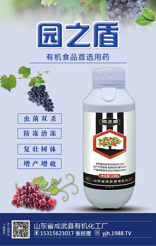 �J�S���ʩ�����J�S��ʲô���Ϻã��J�S������c(di��n)��ע�����(xi��ng)��