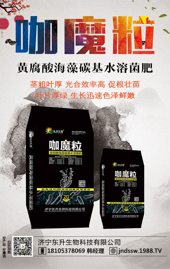 С����ʲô�g�Nֲ�r(sh��)��С���۷Nֲ����Ҫ�c(di��n)��