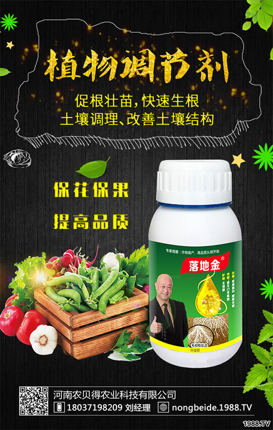 С��������Щʳ�Ãr(ji��)ֵ��С���۵��ΑB(t��i)������