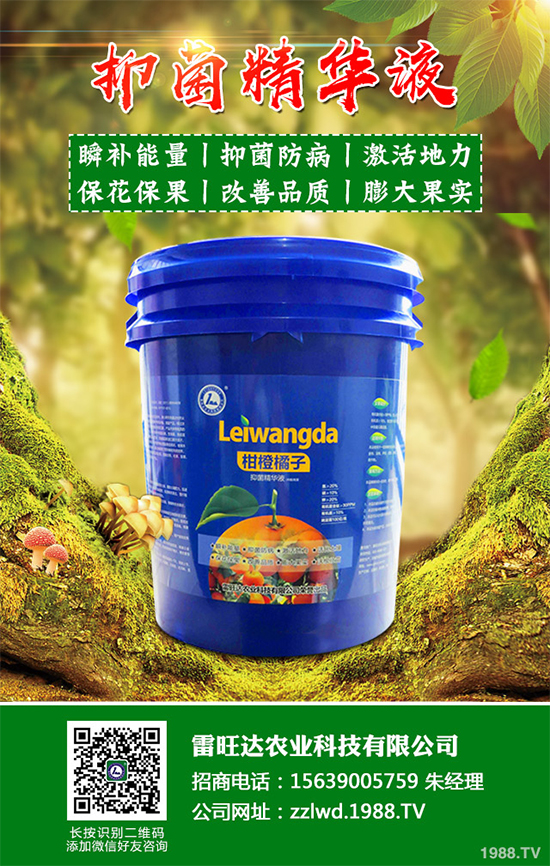 �~�Ȳ��Ј�(ch��ng)�r(ji��)������Xһ����2020���~�ȲݵķNֲЧ�����