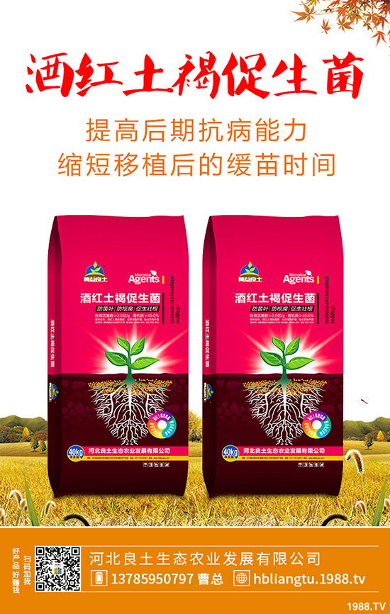 �{��ʲô�r(sh��)��Nֲ�^�����{�˵ķNֲ���g(sh��)�c���g����