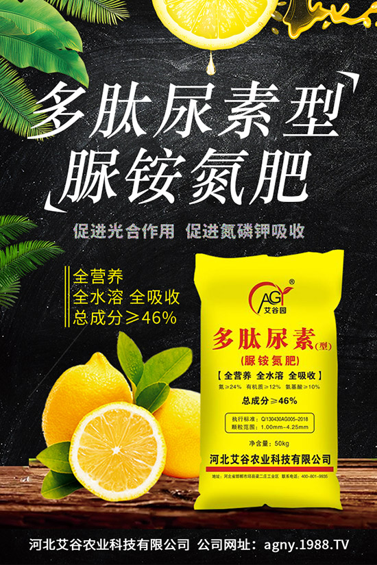 �ļ����NֲҪ�c���ļ������缼�g(sh��)�����ڹ���