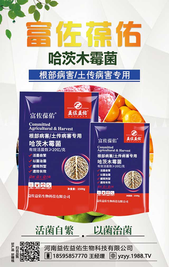 ���^����ʲô�I�B(y��ng)�rֵ�������^��ʲô��̎��