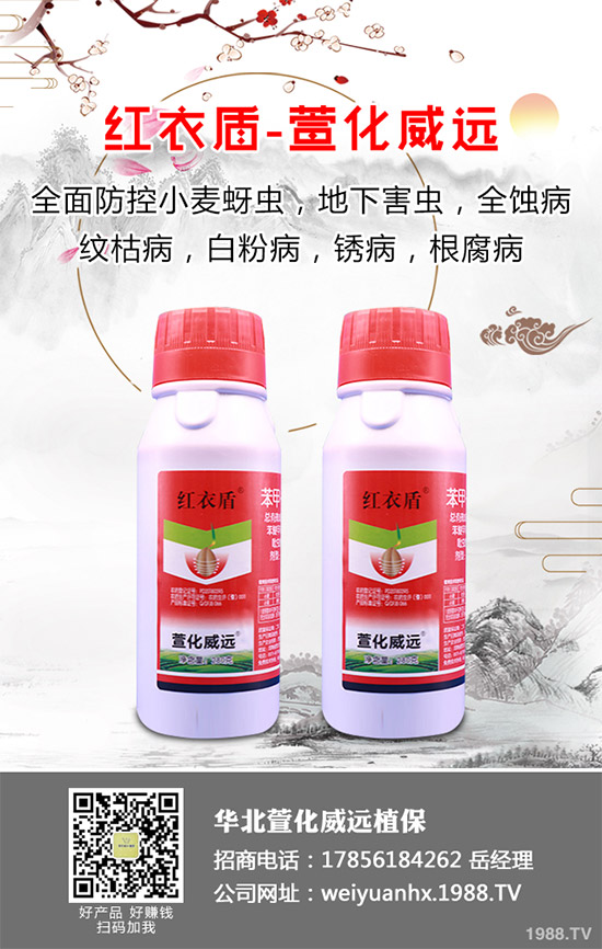     �𻨿��ֽв�ܽ����Ұܽ�صȵ�����һ�N��ˎ����ʳ�Þ�һ�w����������Ѫ���(zh��n)ʹ�ȸ��N��Ч�Ĳݱ�ֲ������Ҫ����ˮ�[��������I�B(y��ng)�r(ji��)ֵҲ�Ƿǳ��S���ģ����҇��ǳ��ܚgӭ����ô���𻨿�ԓ������������𻨿��߮a(ch��n)���༼�g(sh��)����Щ��