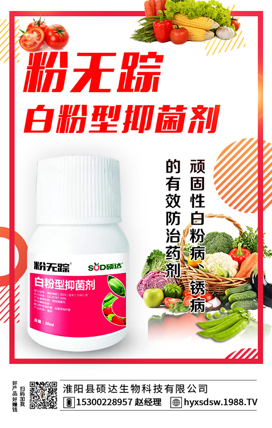 ������ô�Nֲ�������Nֲ���g(sh��)Ҫ�c(di��n)��