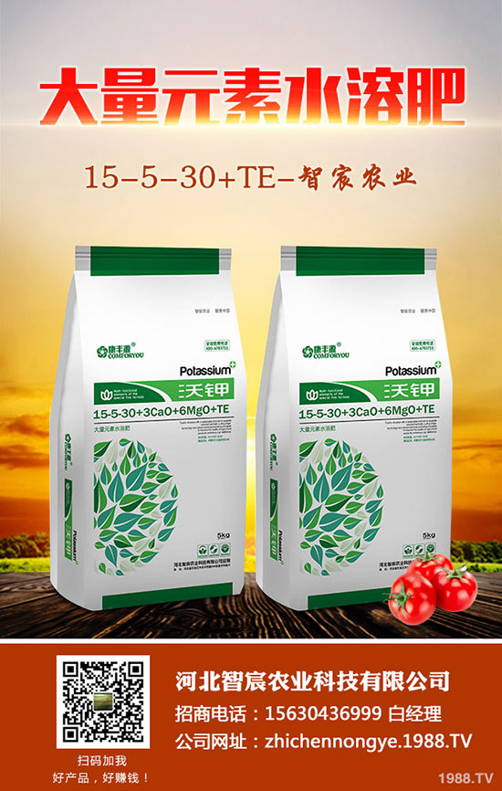 ����F��ô�B(y��ng)������F���B(y��ng)ֳ������ע�����(xi��ng)