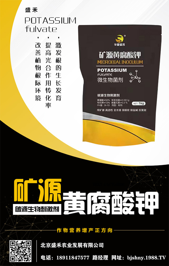     ����⛷�(w��n)���\(y��n)����2020.05.16⛷ʃr�������߄ݷ�����