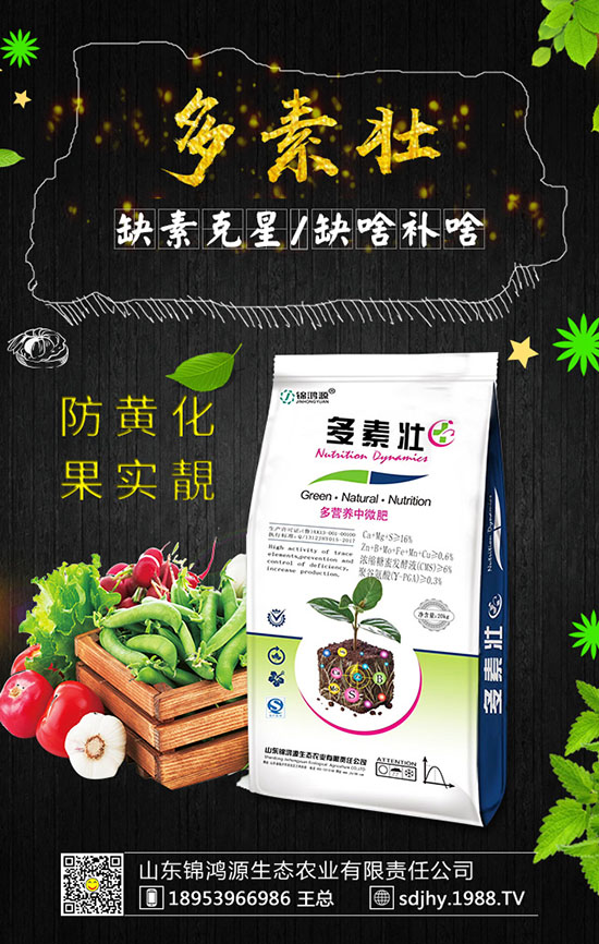 ���������緽������Щ������������Ҫ�c�����ڹ�����