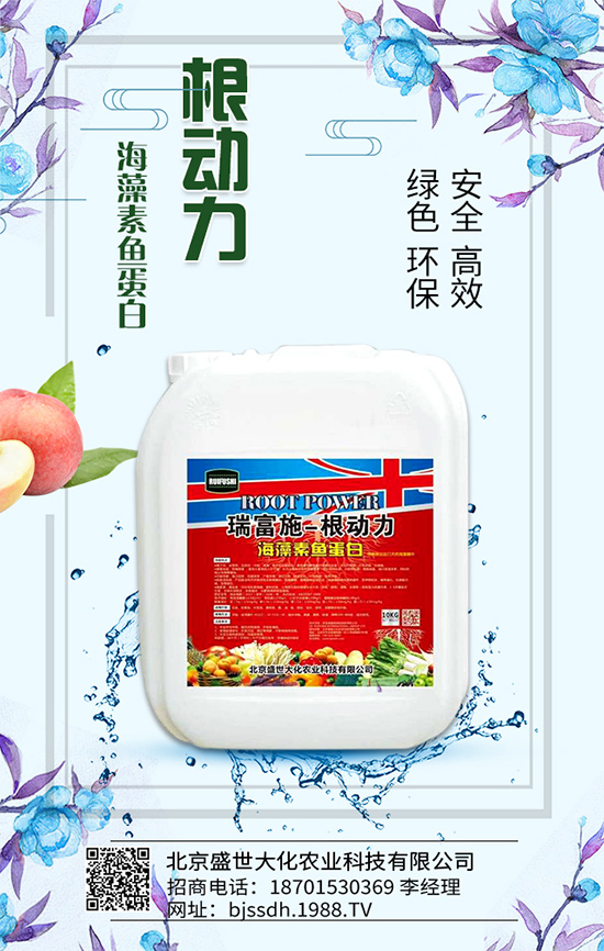 �Ә���ô���綨ֲ��������������M�м޽���