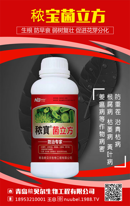 ���J��ô���N���������J�Ĳ��N���������L�^����