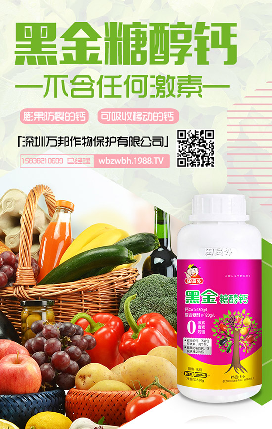 ���ڌ����������仨���ԓ��ô�k�������仨���ԭ�򼰷�ֹ��ʩ��