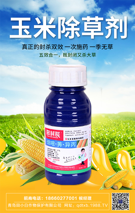 ���׷N�Ӱ�N��ʲô�������������ڹ���Ҫ�c(di��n)��