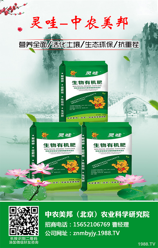 ���᳣Ҋ��������Щ��ԓ����A(y��)�������Ს���İl(f��)���c������