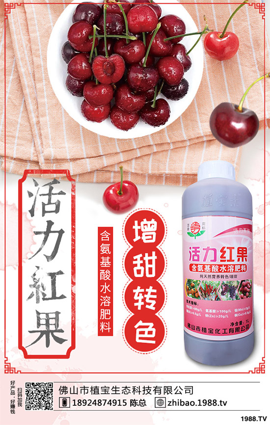     һ�@ӆ�����@�������������@�r�������Ո�