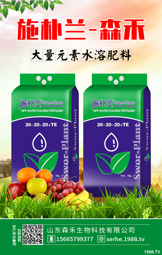 �R���r(ji��)�񲻔��������ܷ��^�m(x��)��(ji��n)ͦ��2020���R����Nֲǰ������