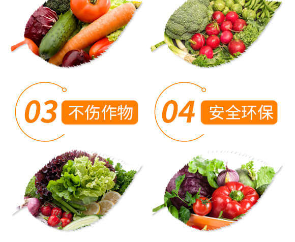 20%���ݿ�-��Ҋ-��ʯ����_05